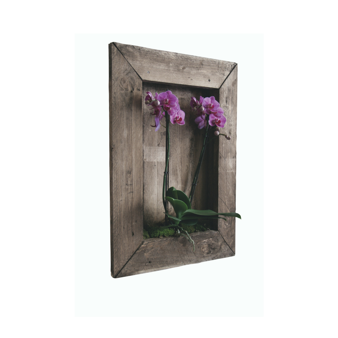 Schilderij Houten orgidee